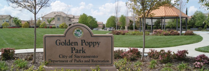 Golden Poppy Park